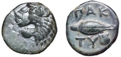 Paktye, bronze coin — Barley-grain (CN type 2704)