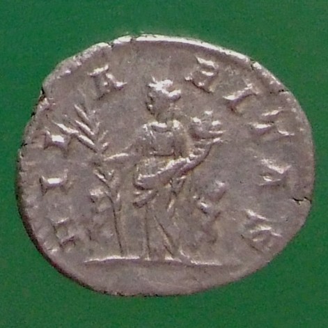RIC IV Septimius Severus 557