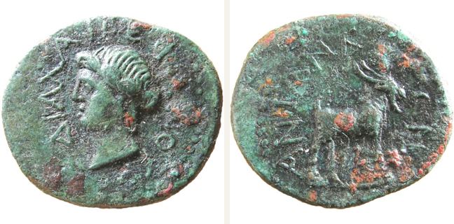 Antandros, bronze coin — Goat standing right (CN type 20366)