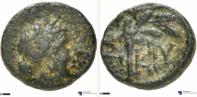 Skylake, bronze coin — Laurel-branch (CN type 19712)