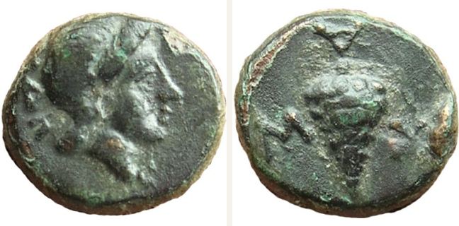 Skamandria, bronze coin — Fir cone (CN type 19462)