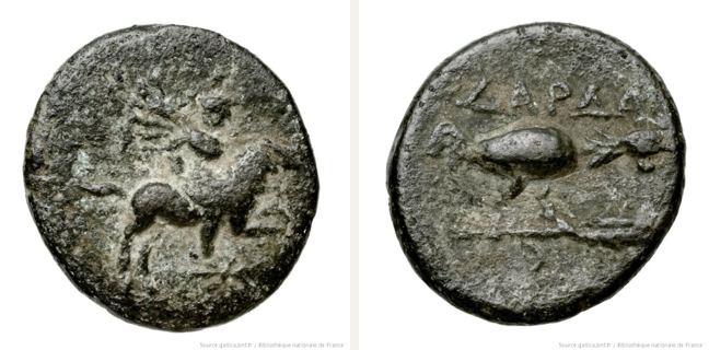 Dardanos, bronze coin — Cock left (CN type 3940)