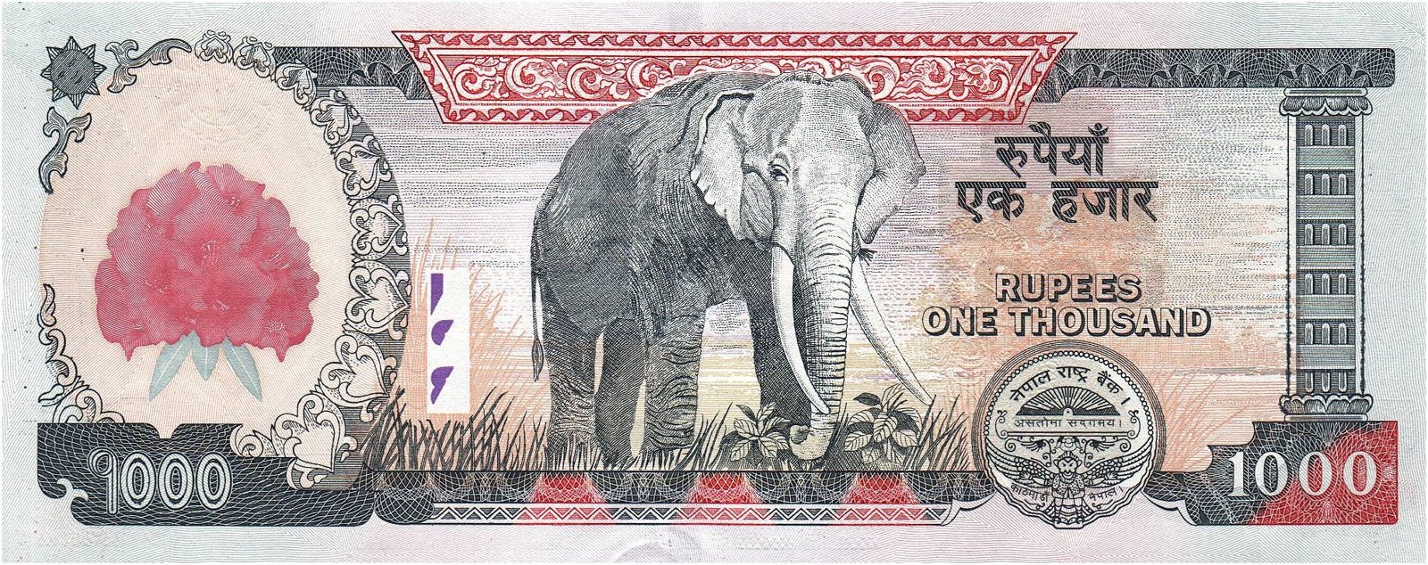 Reverse of 1000 Rupees (2008), Pick 67