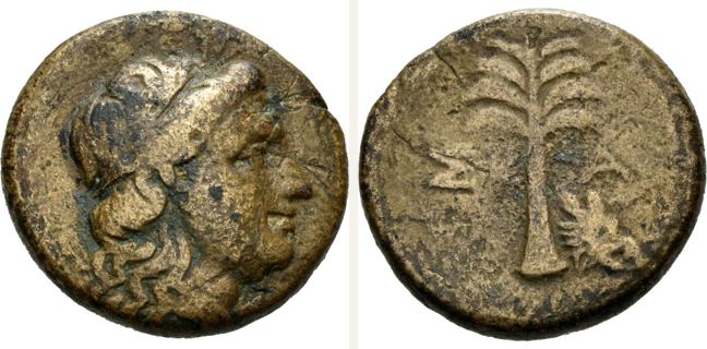 Skamandria, bronze coin — Fir-tree (CN type 12921)