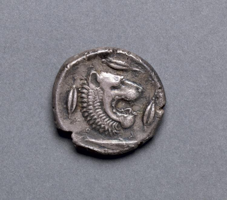 Tetradrachm: Head of Lion, Barley, Riverfish (reverse), 466–422 BCE (Cleveland Museum of Art 1917.988.b)