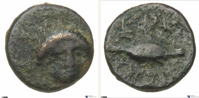 Krithote, small denomination (bronze) — Grain (CN type 494)