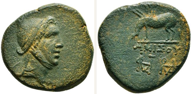Amisos, bronze coin — Grazing Pegasos (CN type 22742)