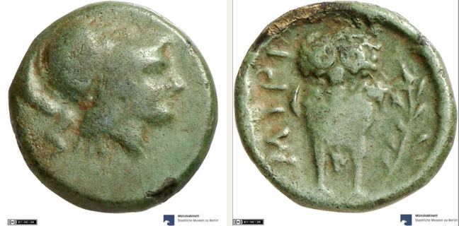 Myrina, bronze coin — Owl standing facing (CN type 12890)