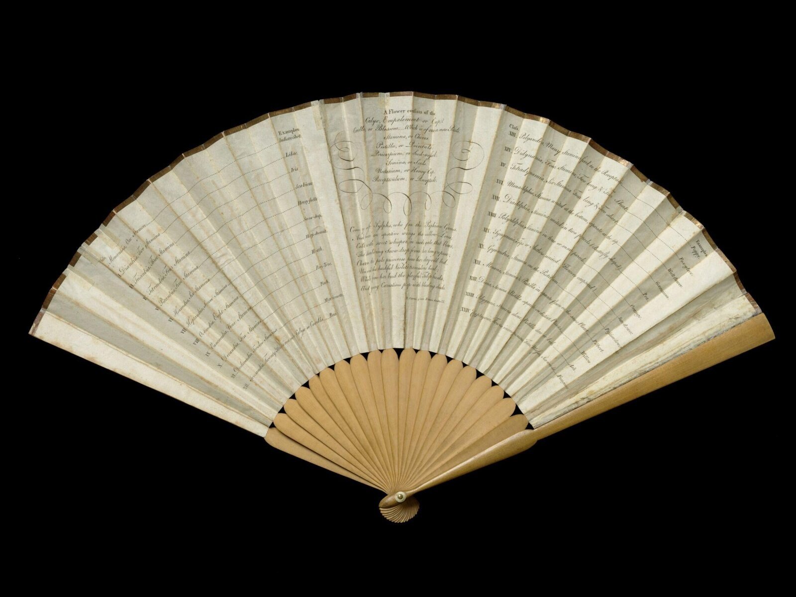 Fan, paper, London, 1792 — museum object T.182-1915