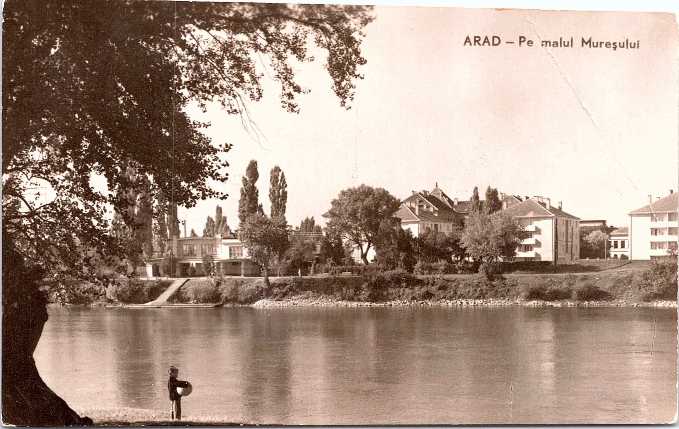 Arad - On the banks of the Mureș, CPCS (photographer)