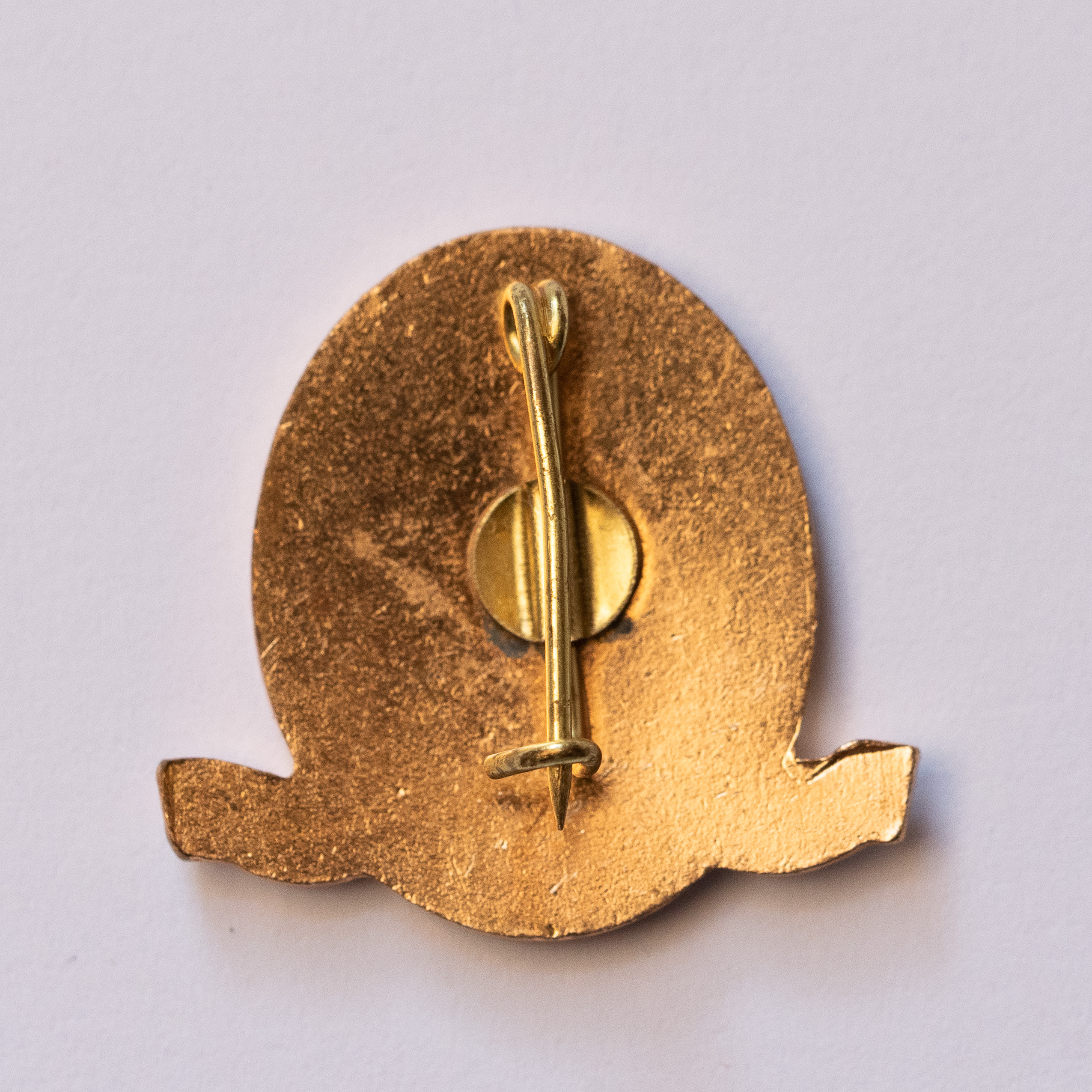 Badge dedicated to 75 years of medical and pharmaceutical education in Cluj, 1994