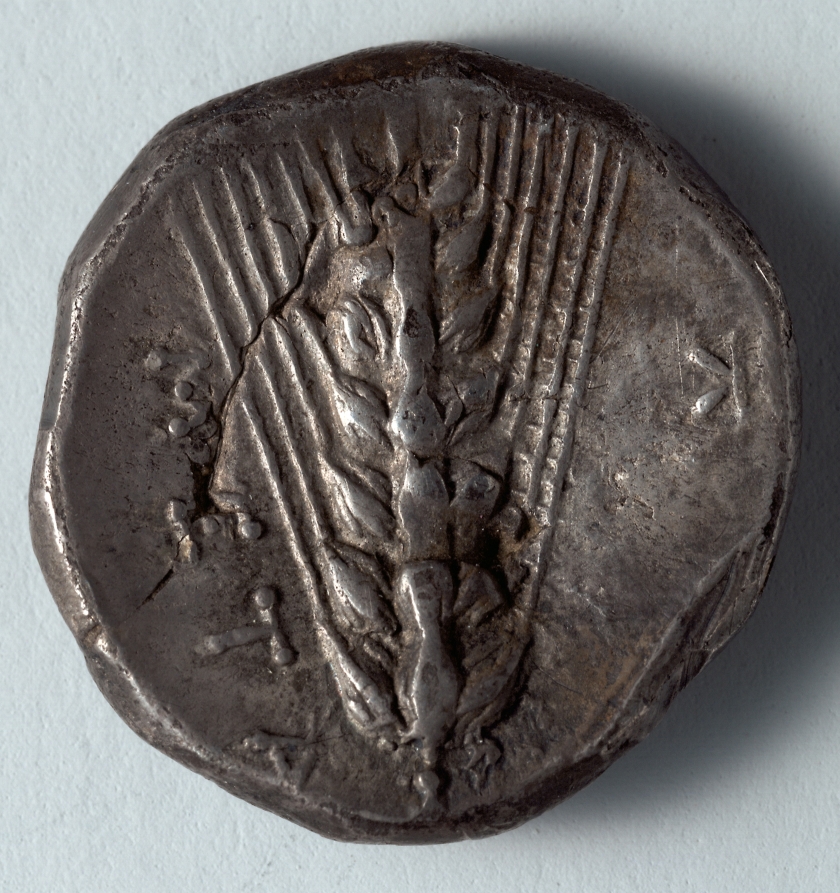 Stater: Barley (reverse), c. 340 BCE (Cleveland Museum of Art 1916.991.b)
