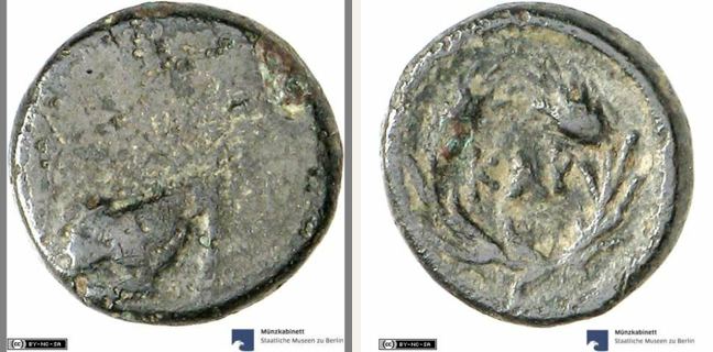 Kardia, Kardia C — Ethnic within grain ear wreath (CN type 484)