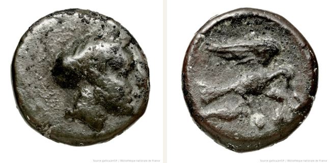 Prokonnesos, bronze coin — Dove with spread wings (CN type 20529)