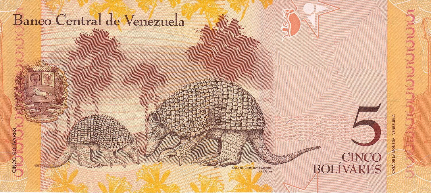 Reverse of 5 Bolivars (2007–2014), Pick 89