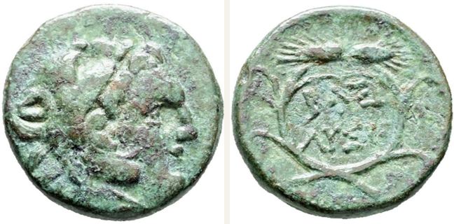 Uncertain mint, Lysimachos, bronze coin — Ruler's name within wreath of corn ears (CN type 12886)
