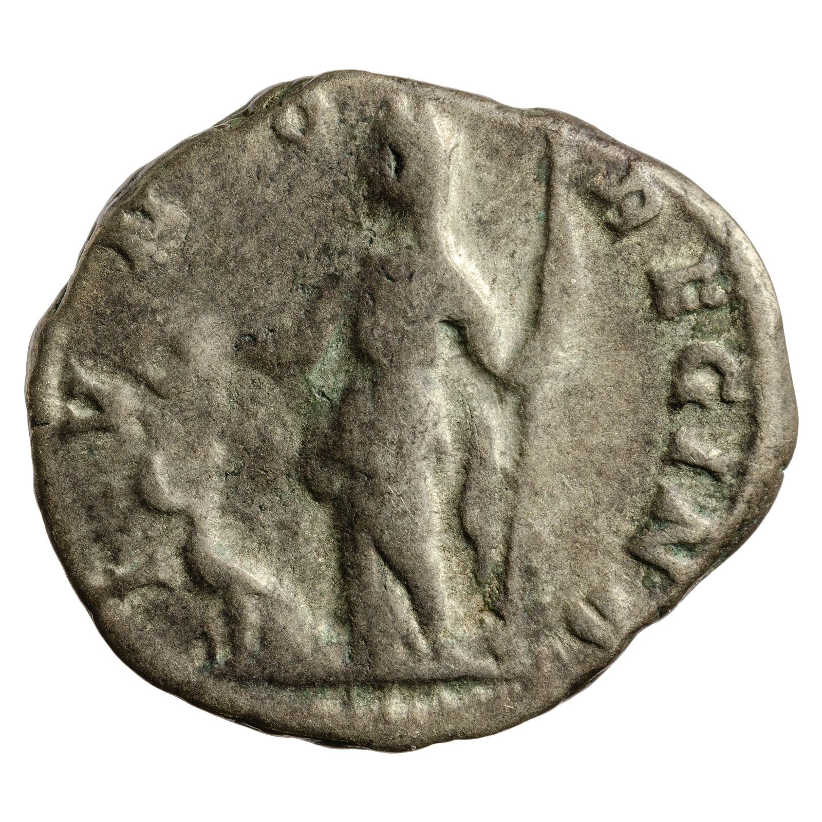 RIC IV Septimius Severus 560 (denarius)