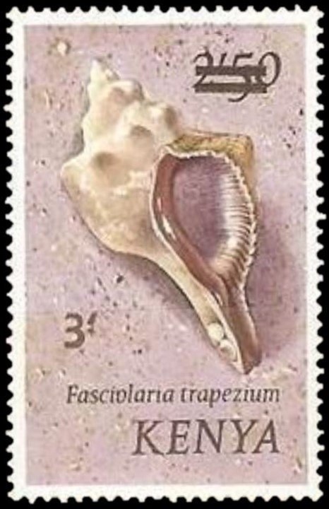 Photograph of a stamp from this issue (Wikimedia Commons file “Stamp of Kenya - 1975 - Colnect 511963 - Trapezium Horse Conch Fasciolaria trapezium.jpeg”). The paper, perforation or watermark variety shown cannot be confirmed from the photograph.