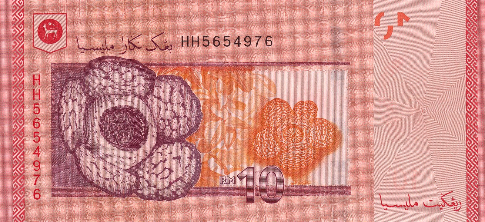 Reverse of 10 Ringgit (2012–2024), Pick 53