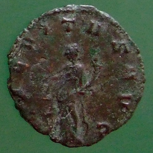 RIC V Claudius Gothicus 137