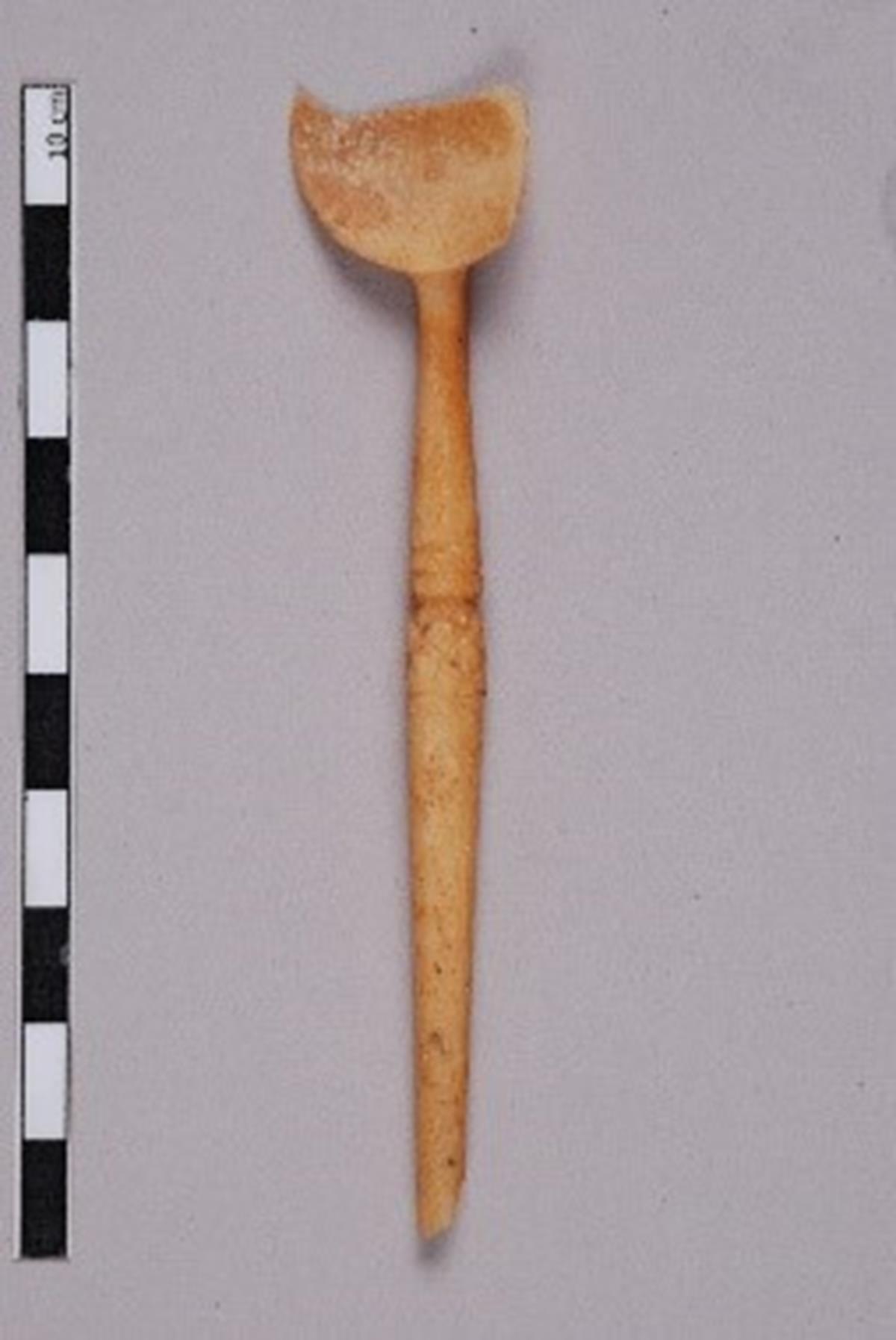 Bone spoon (ligula)