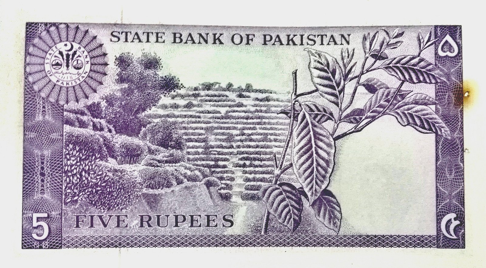Reverse of 5 Rupees (1966–1971), Pick 15
