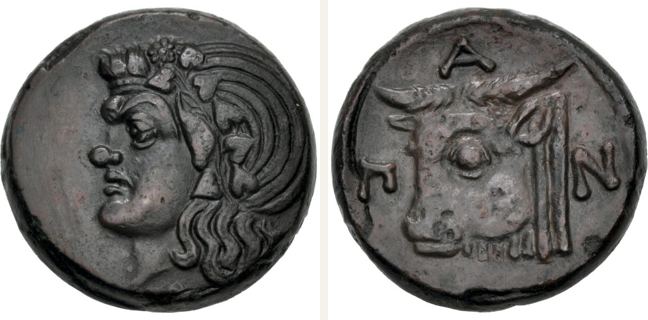 Pantikapaion, bronze coin — Head of a bull with neck left (CN type 23954)