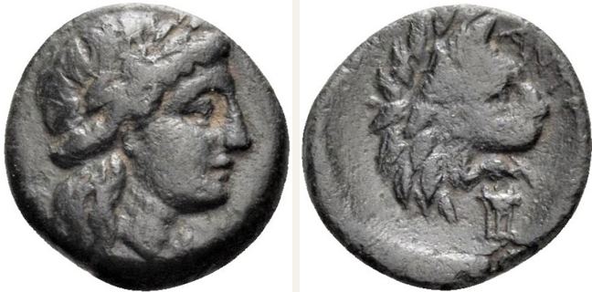 Antandros, bronze coin — Lion head with protruding tongue (CN type 12915)