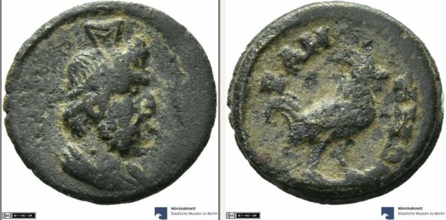 Kame, bronze coin — Cock standing right (CN type 3464)