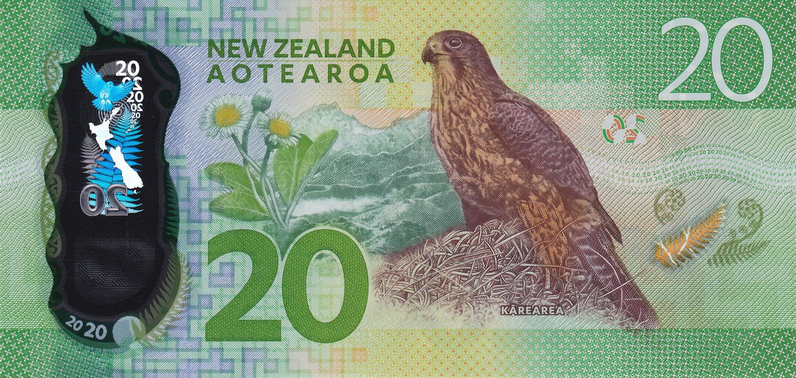 Reverse of 20 Dollars (2016–2022), Pick 193