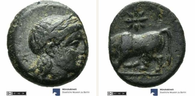 Gambrion, bronze coin — Butting bull (CN type 19755)