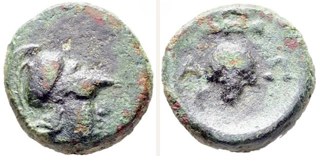 Alopekonnesos, small denomination (bronze) — Bunch of grapes (CN type 24552)