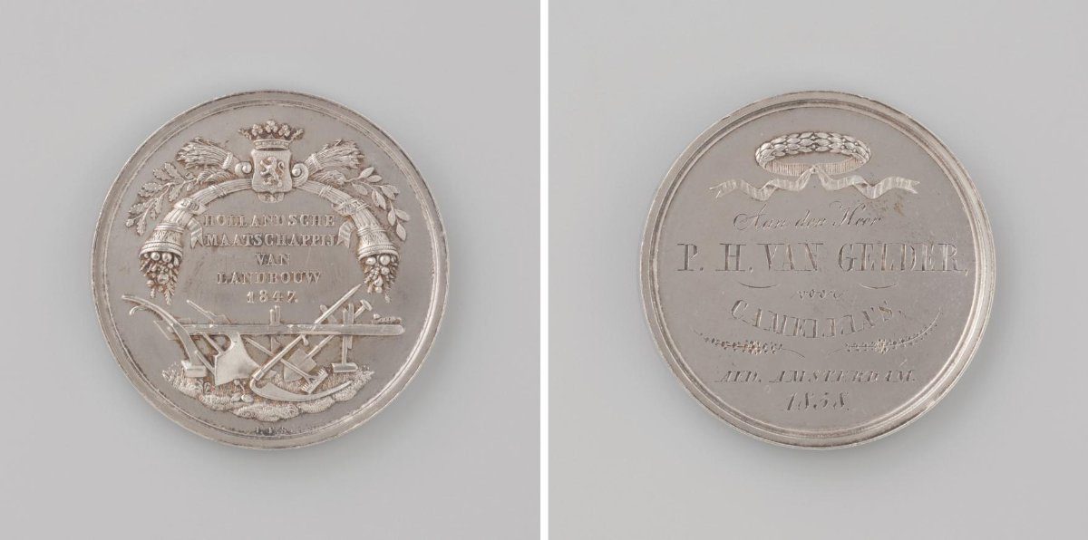 Amsterdam Section of the Hollandsche Maatschappij van Landbouw, medal awarded to P.H. van Gelder for his camellias