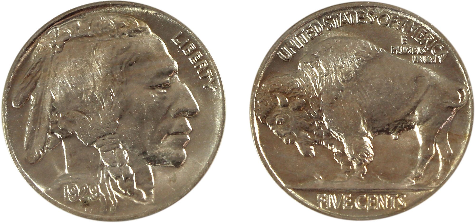 United States Buffalo Nickel