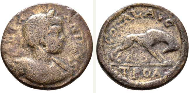 Alexandria Troas, Severus Alexander, bronze coin — She-wolf standing right (CN type 19101)