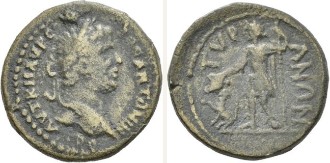 Tyras, Caracalla, bronze coin — Dionysus standing left (CN type 23896)