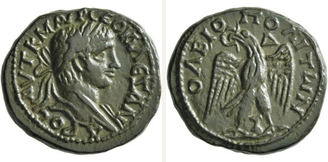 Olbia, Severus Alexander, bronze coin — Eagle standing facing (CN type 23797)
