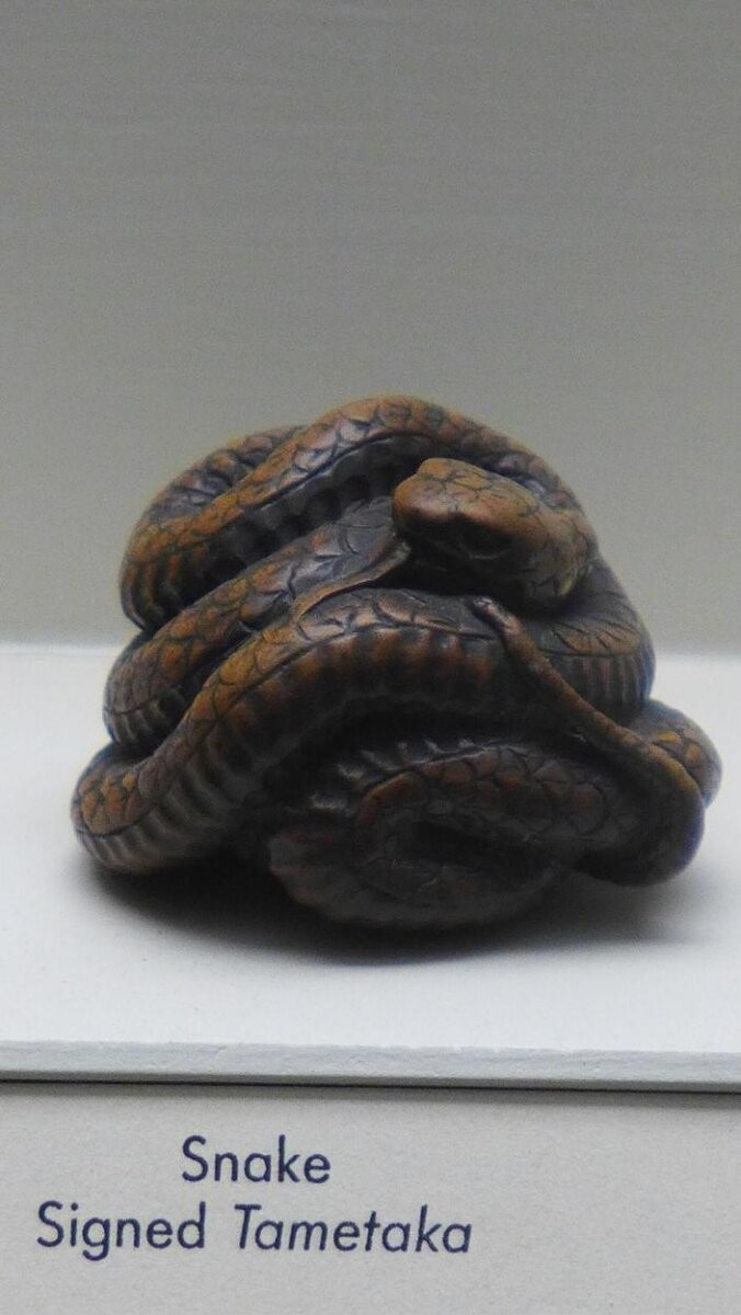 Netsuke of a coiled snake in carved and stained wood, signed Tametaka, Japan, 1750-1800