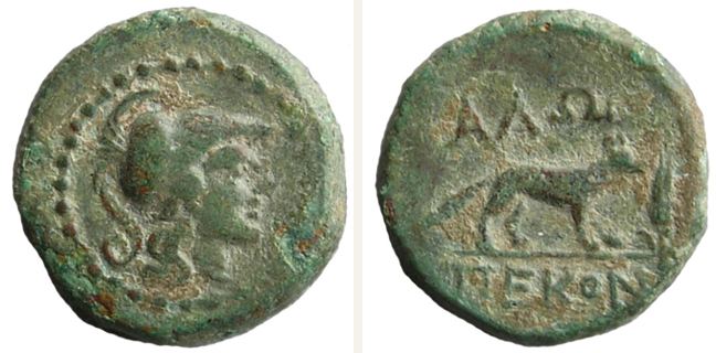 Alopekonnesos, small denomination (bronze) — Fox standing right (CN type 396)