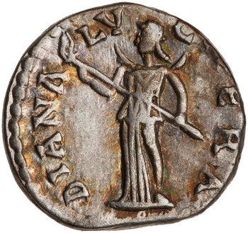 RIC IV Septimius Severus 548 (denarius)
