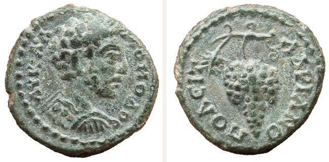 Hadrianopolis, Commodus, unit — Bunch of grapes (CN type 14222)