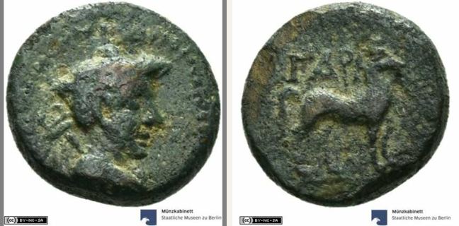 Gargara, bronze coin — Horse standing right (CN type 12182)