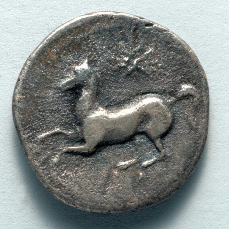 Two Litrae: Horse, star (reverse), 344–317 BCE (Cleveland Museum of Art 1917.986.b)