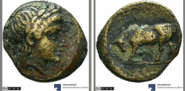 Gambrion, bronze coin — Butting bull (CN type 19756)
