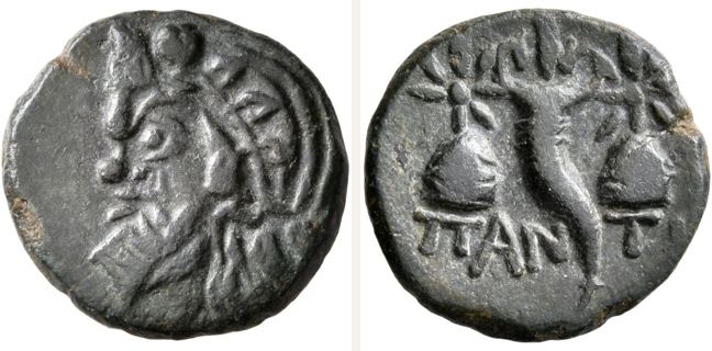 Pantikapaion, bronze coin — Cornucopia (CN type 24038)