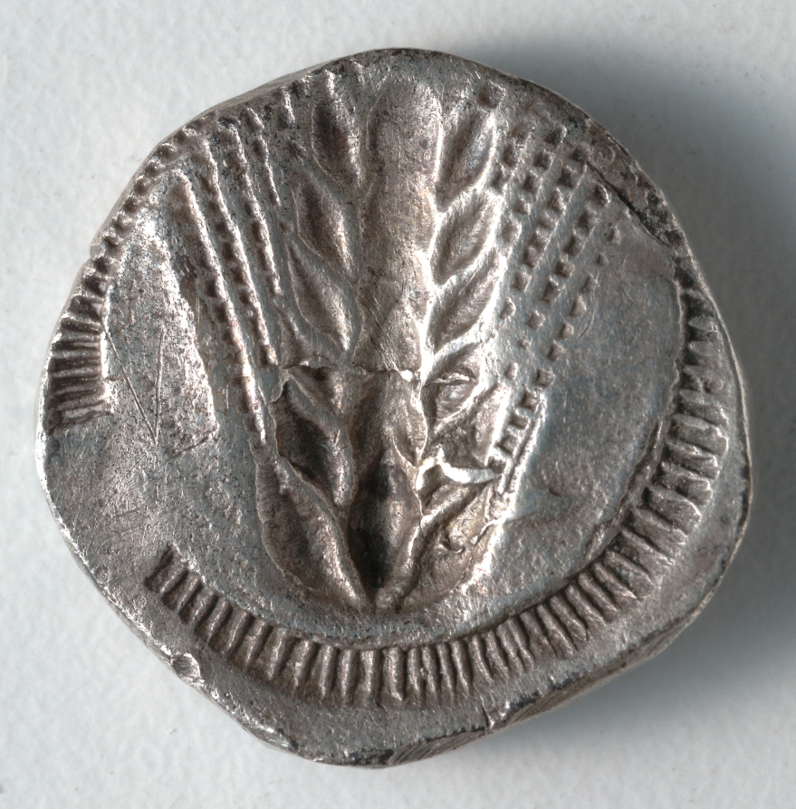 Stater: Barley, Incuse (reverse), c. 530–510 BCE (Cleveland Museum of Art 1916.986.b)
