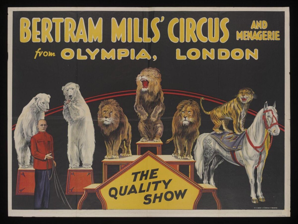 Poster — Bertram Mills poster, Bradford, Great Britain, 1931