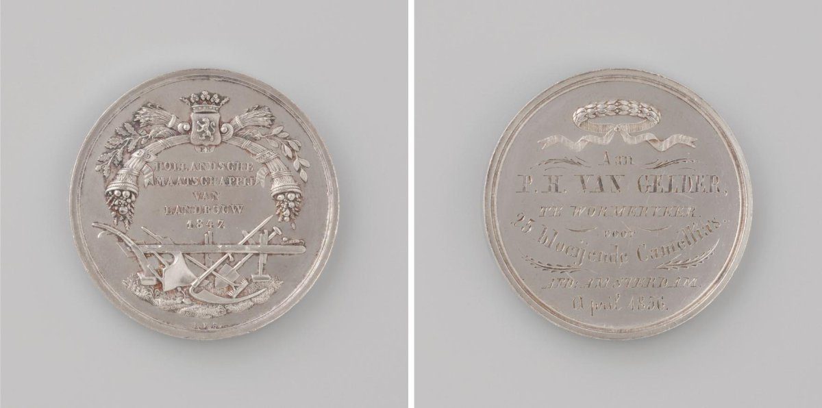 Amsterdam Section of the Hollandsche Maatschappij van Landbouw, medal awarded to P.H. van Gelder from Wormerveer for twenty-five camellias in bloom