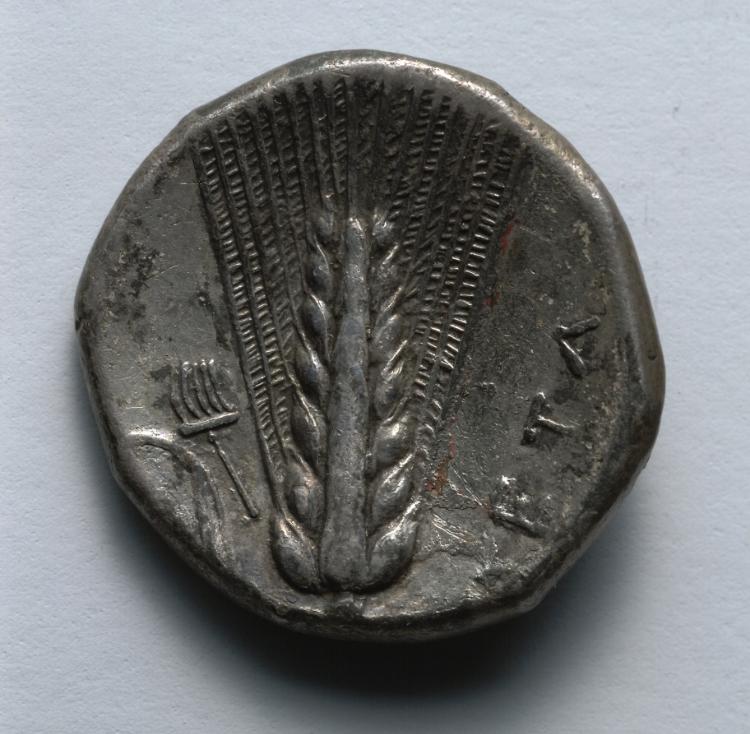 Stater: Barley (reverse), 330–300 BCE (Cleveland Museum of Art 1917.983.b)