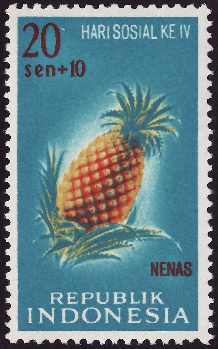 Photograph of a stamp from this issue (Wikimedia Commons file “IDN 1961 MiNr0320 mt B002a.jpg”). The paper, perforation or watermark variety shown cannot be confirmed from the photograph.